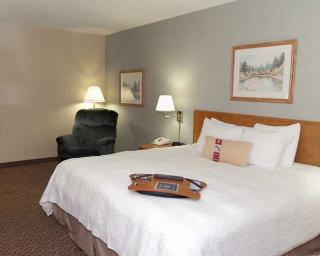 Room
 di Hampton Inn Grand Rapids-South