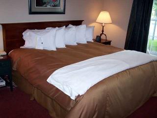 Room
 di Homewood Suites by Hilton Hartford-Farmington