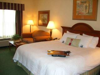 Room
 di Hampton Inn & Suites Harlingen