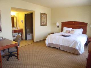 Room
 di Hampton Inn & Suites Pharr