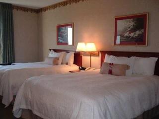 Room
 di Hampton Inn & Suites Leesburg 