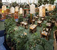 Restaurant
 di Holiday Inn Leiden