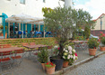 Terrace
 di Albergo Hotel Berlin