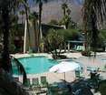 Pool
 di Quality Inn Palm Springs