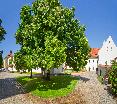 General view
 di Monastery Garden