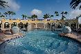 Pool
 di Hilton Grand Vacations Club International Drive