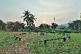 General view
 di Royal Ping Garden & Resort