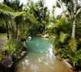 Pool
 di Ferntree Rainforest Lodge