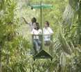 General view
 di Gamboa Rainforest Resort