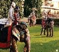 Sports and Entertainment
 di Rambagh Palace
