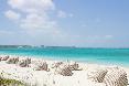 Beach
 di The Regent Palms Turks & Caicos Islands