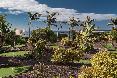General view
 di Sheraton Fuerteventura Beach, Golf & Spa Resort