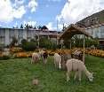 General view
 di Eco Inn Puno