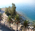 Beach
 di Petit Palais