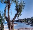 Beach
 di Lomeniz Blue