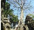 General view
 di Cheathata Angkor Hotel