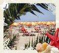 Hotel Camelia Rimini