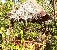 General view
 di Bantayan Island Nature Park and Resort