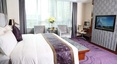suite executive rooms