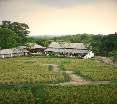 General view
 di Baanrai Lanna Resort