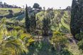 General view
 di Son Foguero Agroturismo