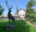 General view
 di Best Western Plus Deer Park Inn & Suites