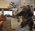 Lobby
 di Hilton Garden Inn Anchorage 