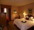 Room
 di Hampton Inn Dallas-Irving-Las Colinas 