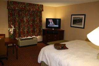 Room
 di Hampton Inn & Suites Florence-North-I-95