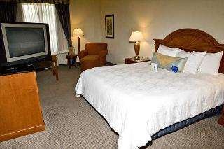 Room
 di Hilton Garden Inn Ontario/Rancho Cucamonga