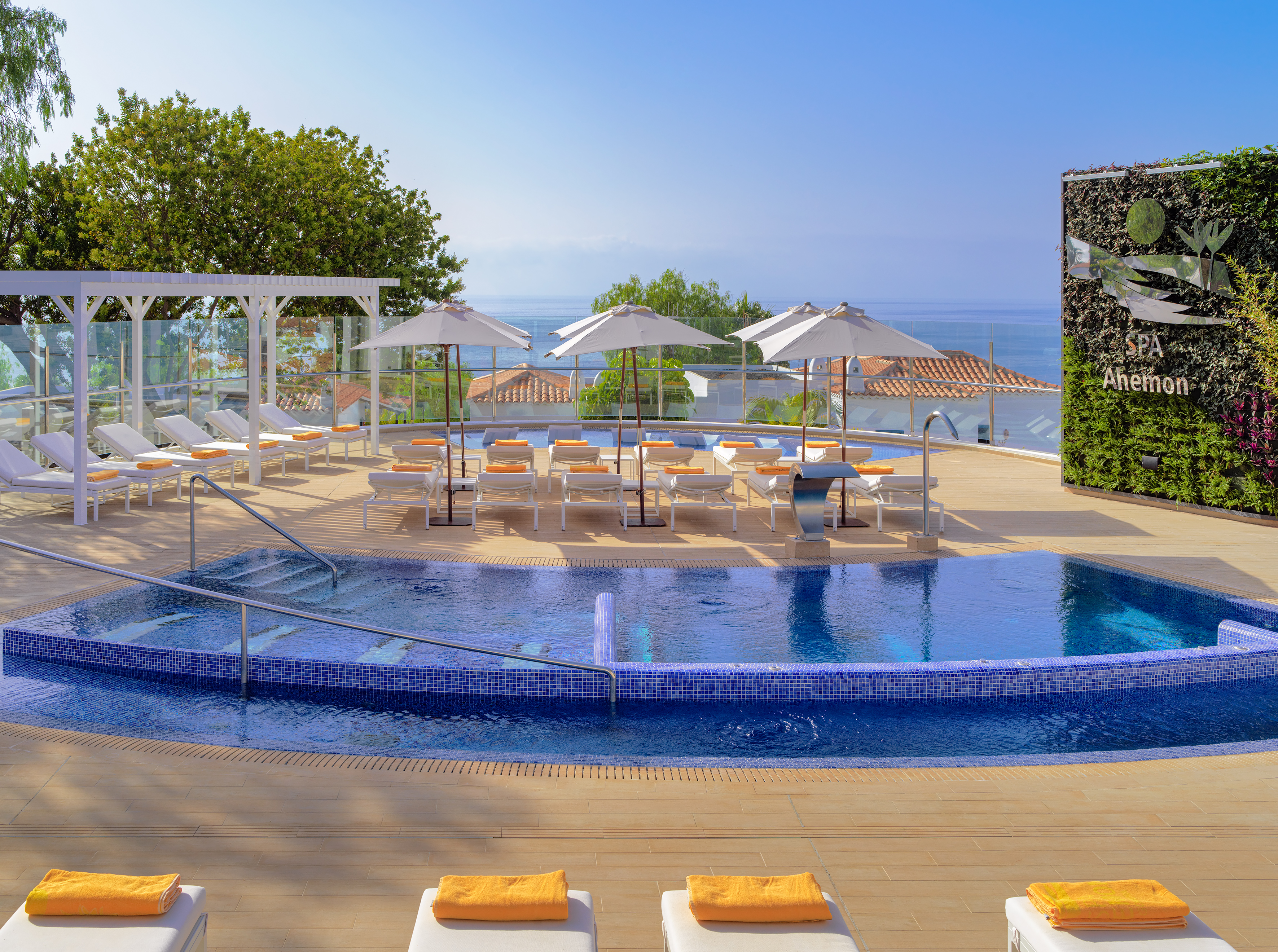 Hotel Jardin Tecina by null