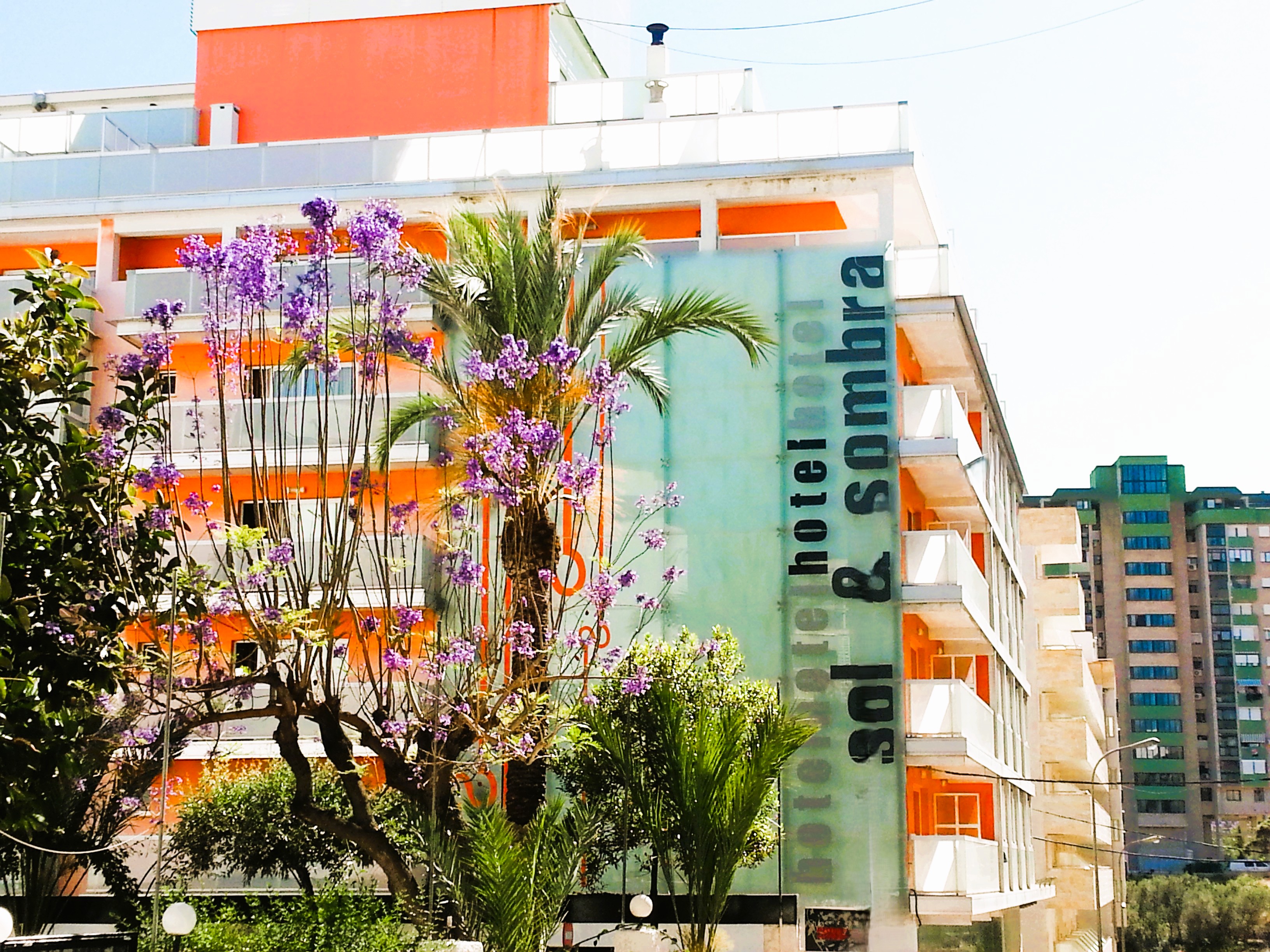 Hotel Sol y Sombra by null
