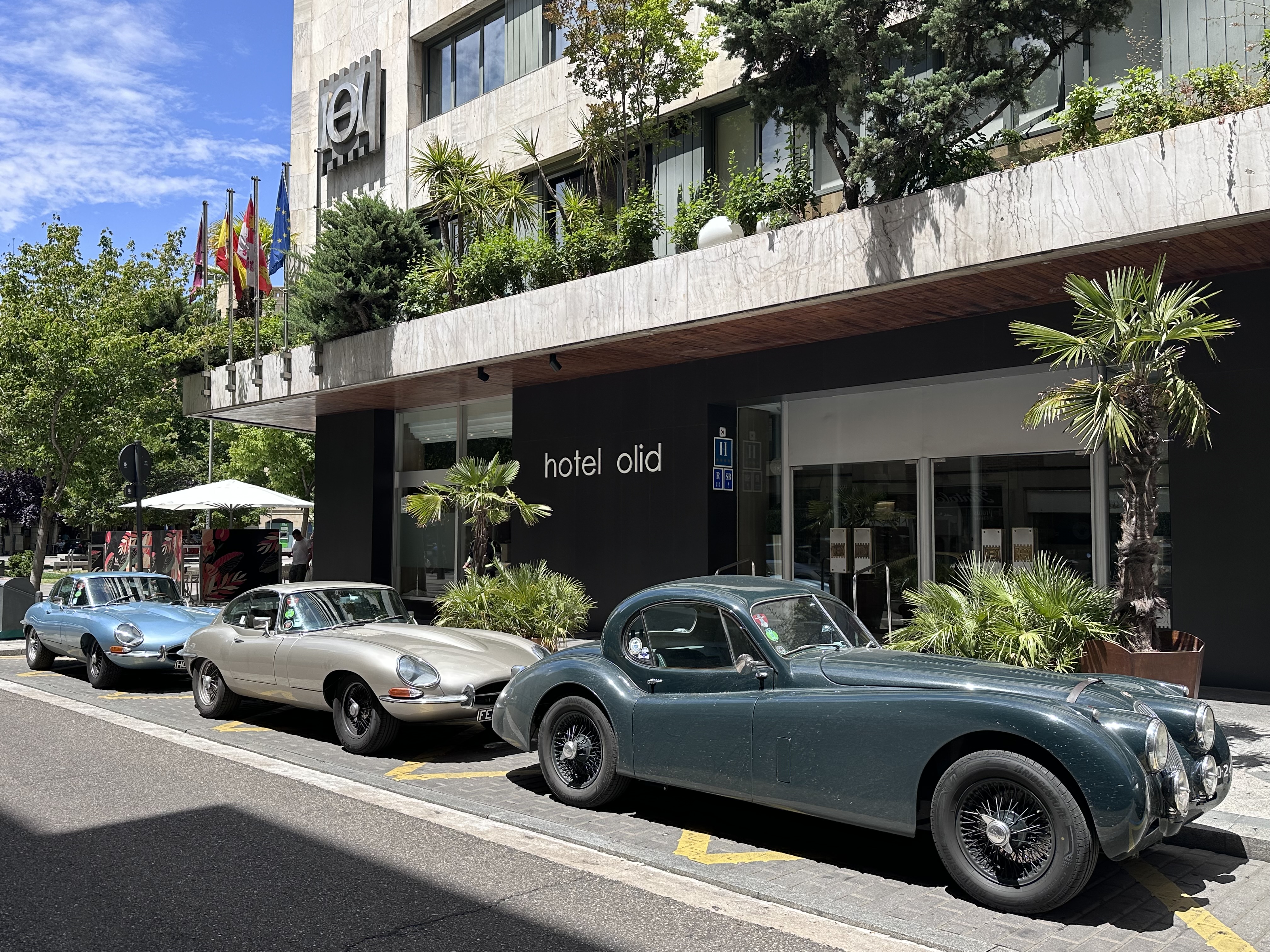 Hotel Olid by null