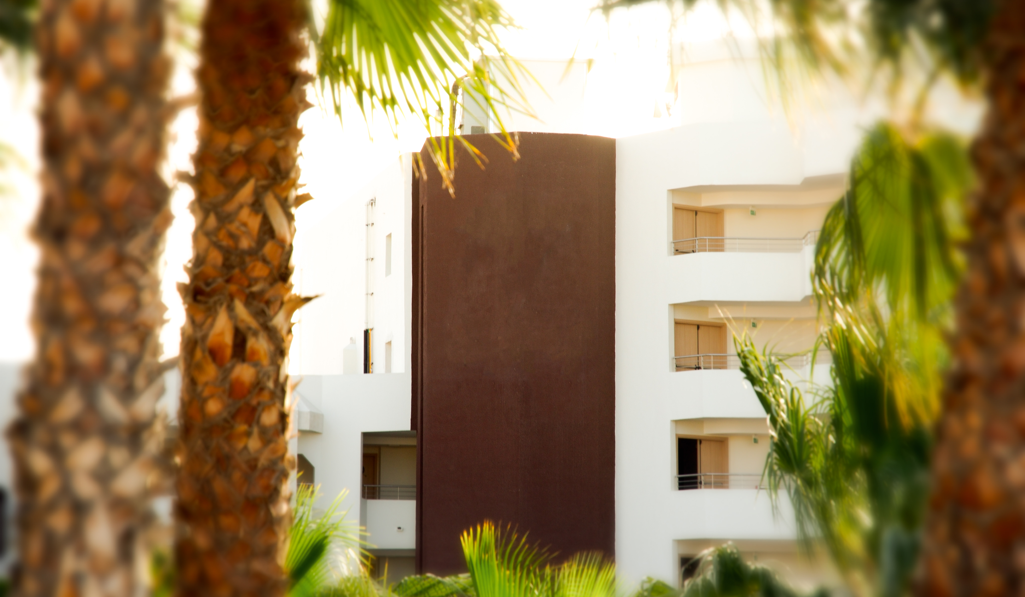 Tenerife Golf & Seaview - photo