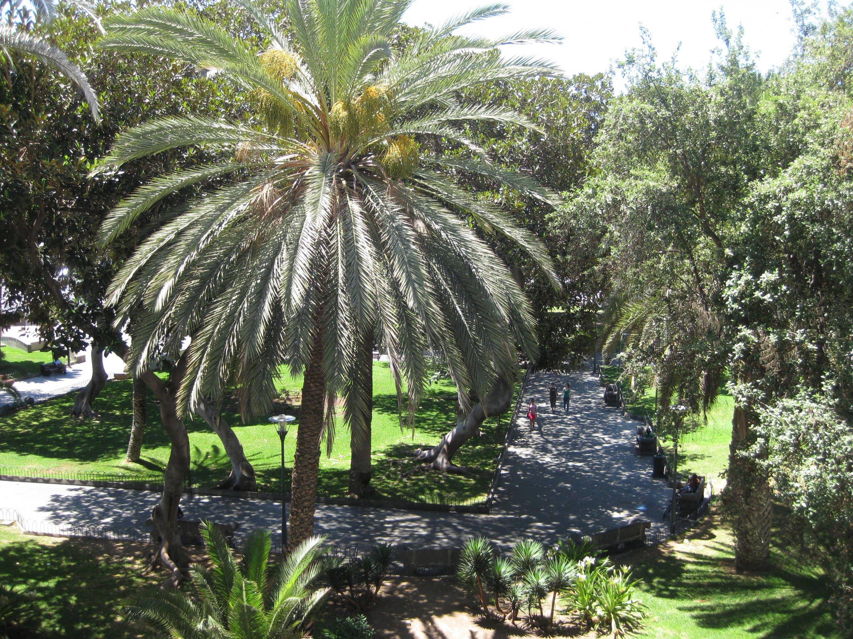 Sercotel Parque Las Palmas by null