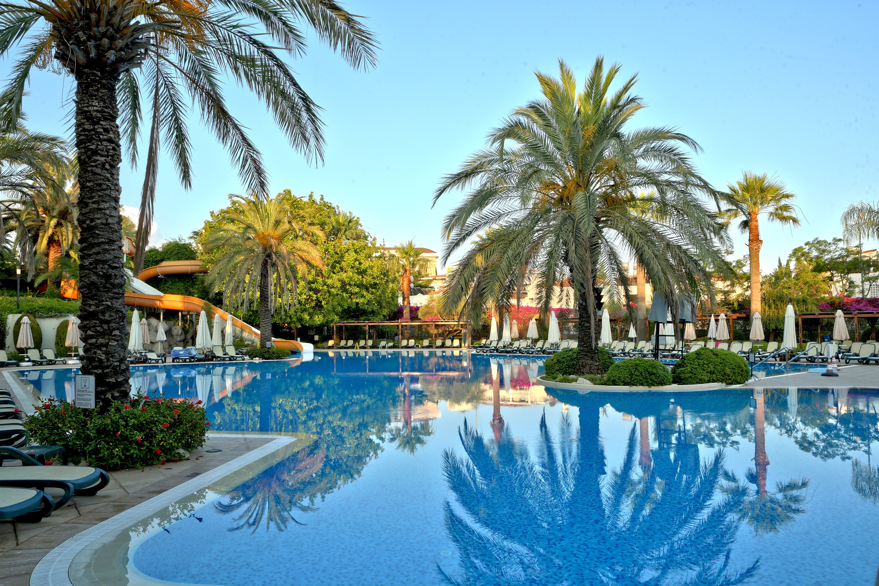 Side Star Elegance - фото