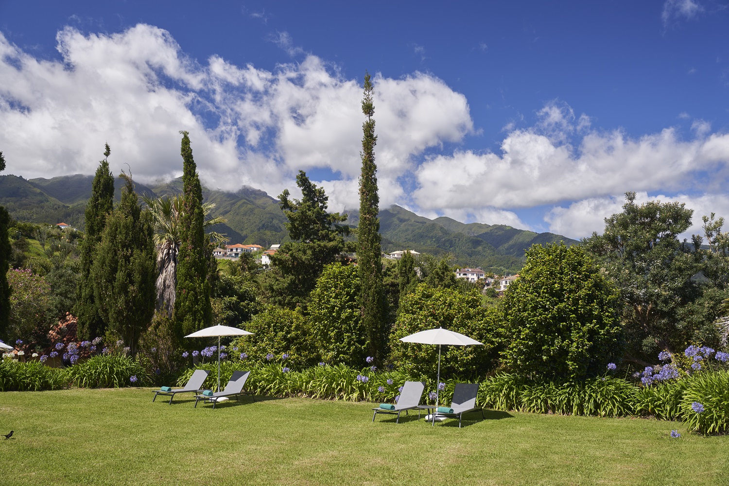 Hotel Quinta do Furão by null