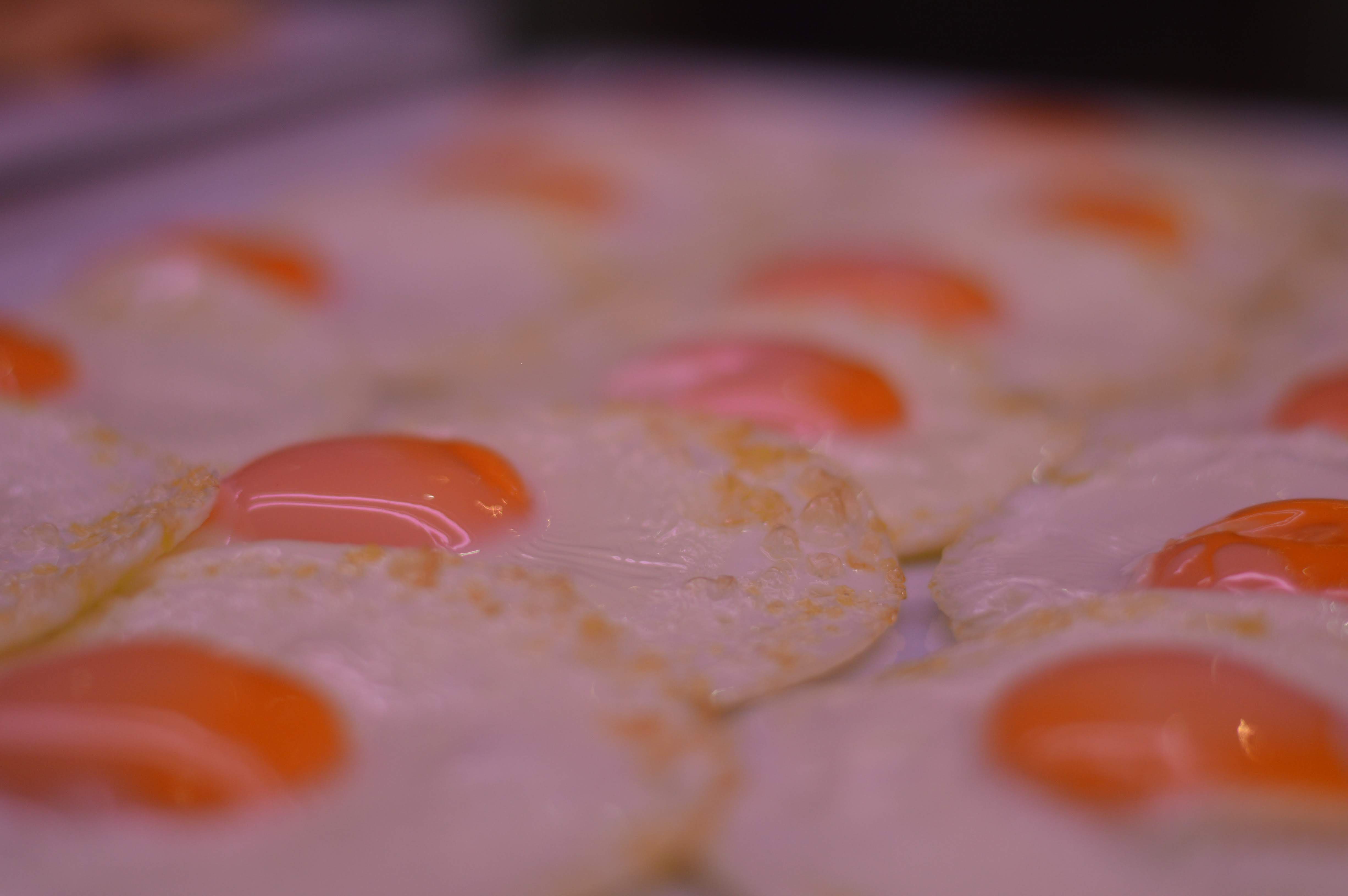 Hotel Chamartin the One - photo