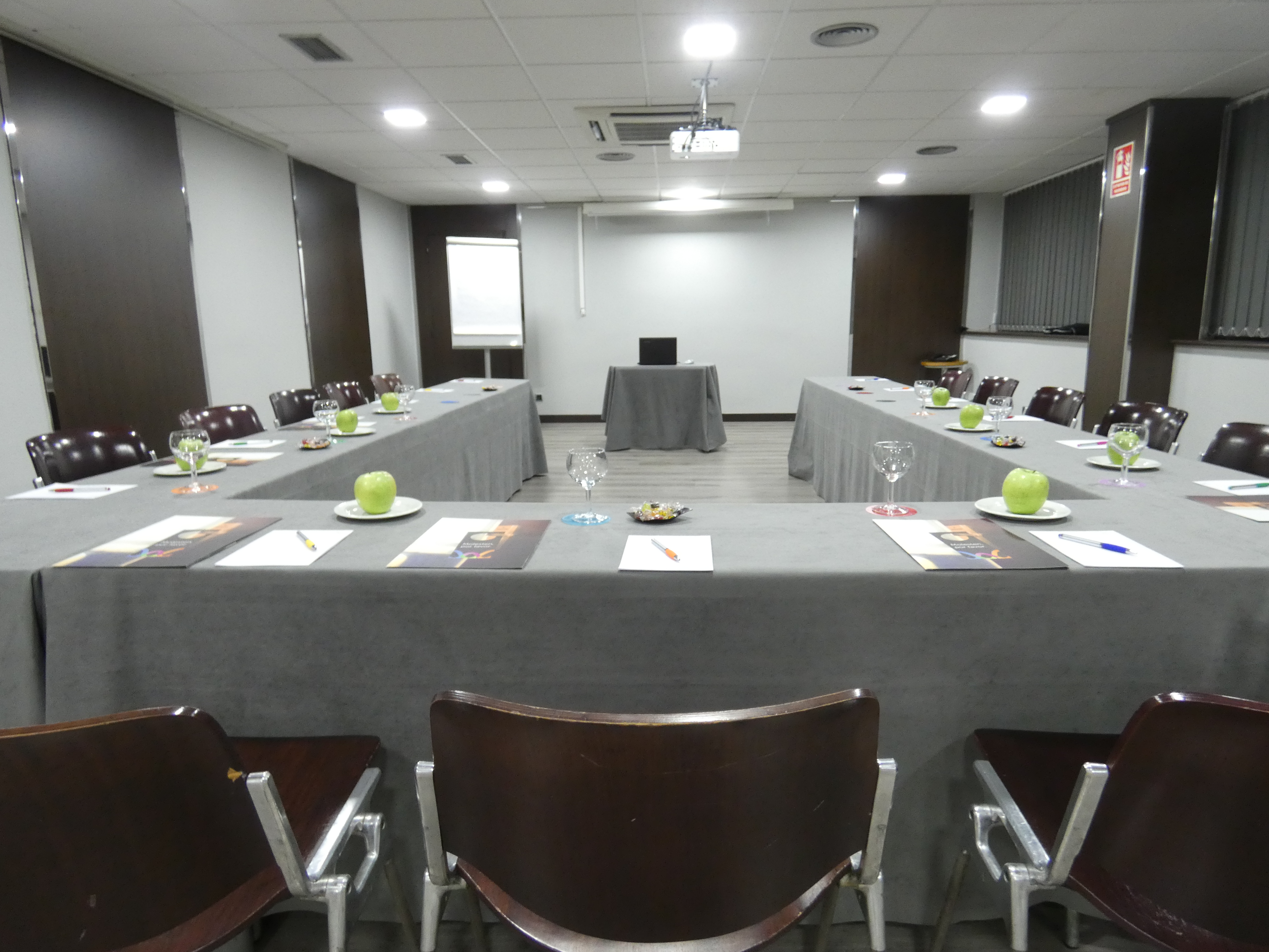 Hotel Chamartin the One - photo