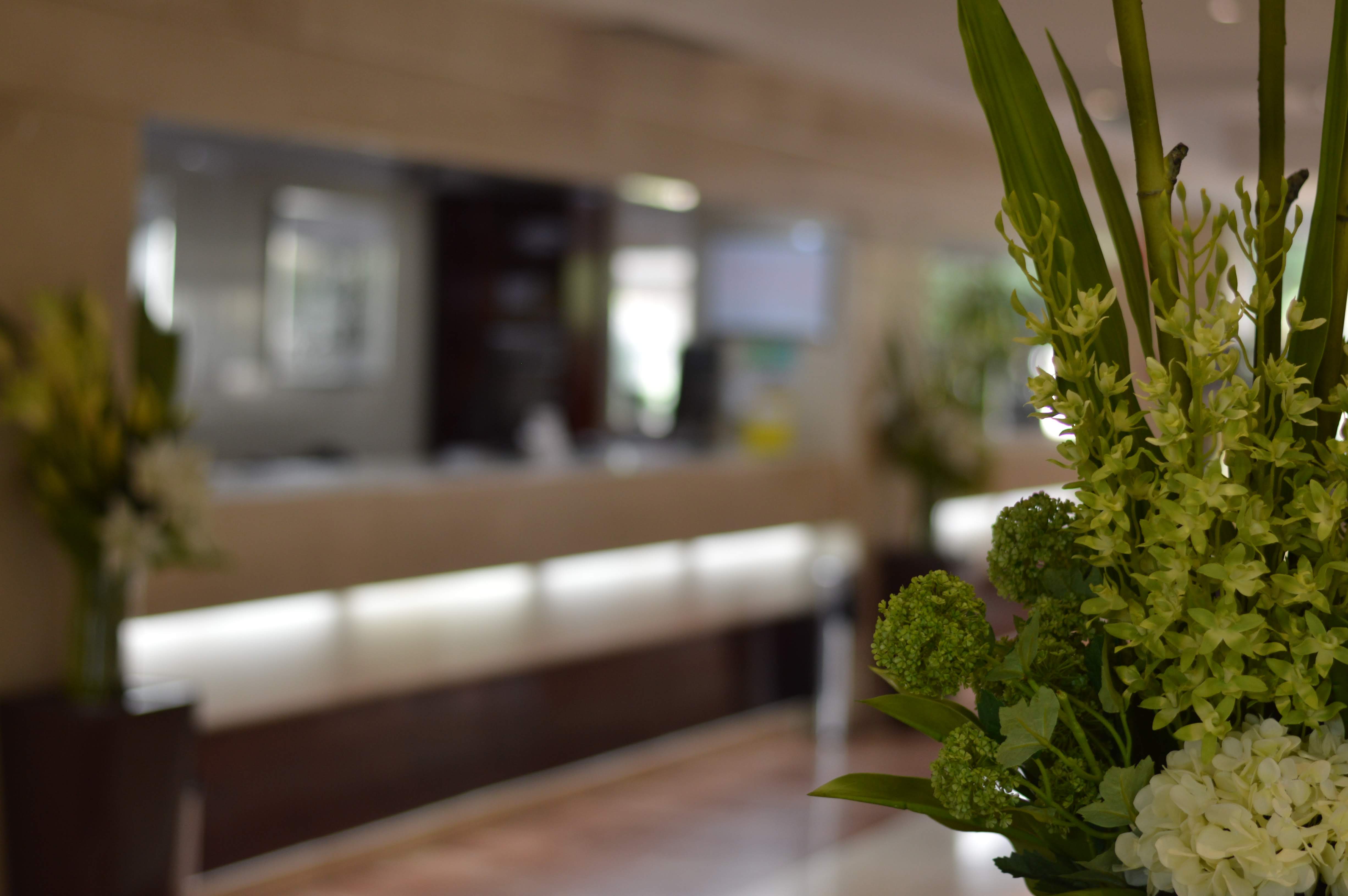 Hotel Chamartin the One - photo