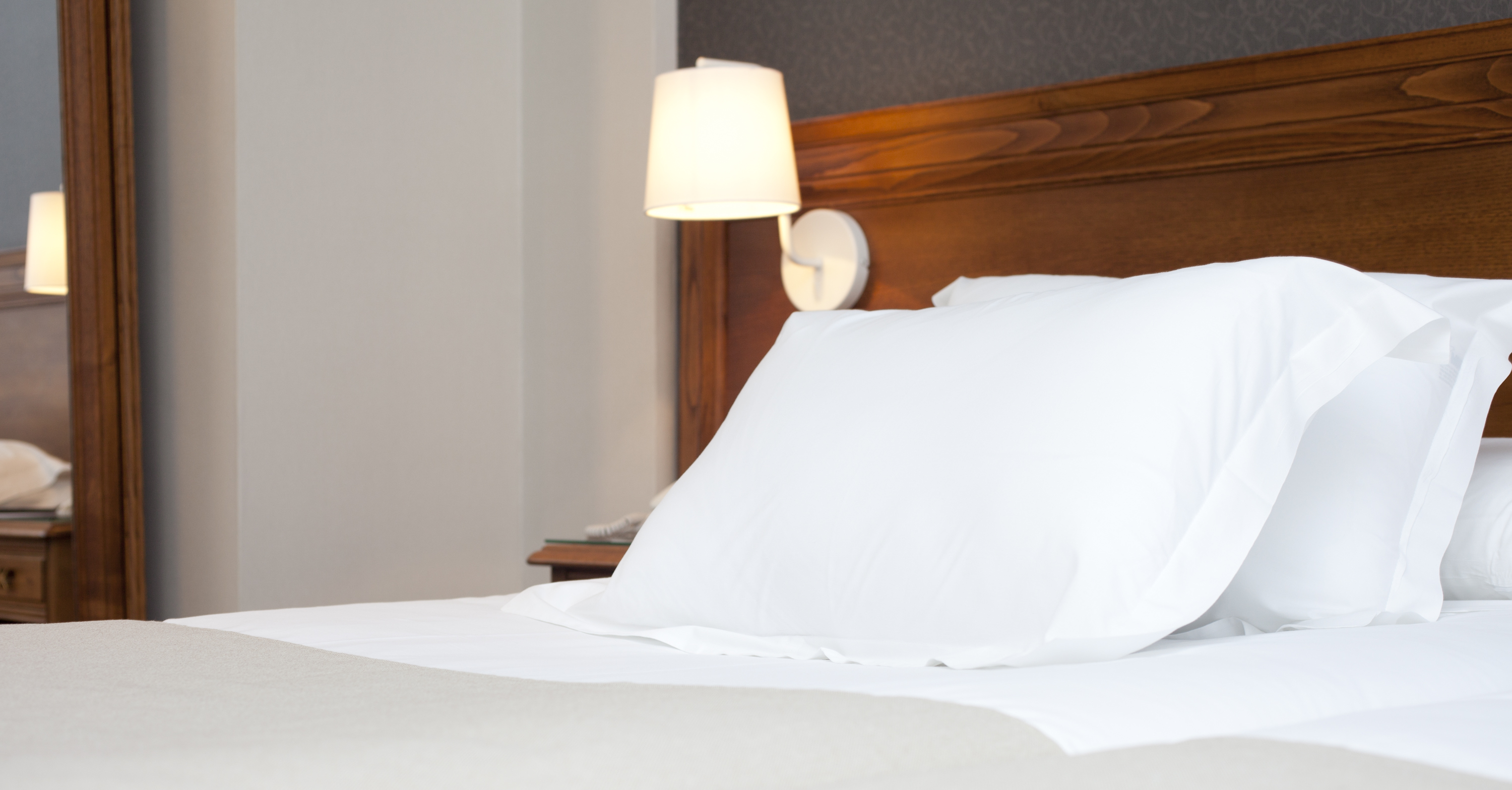 Hotel Felipe IV by null