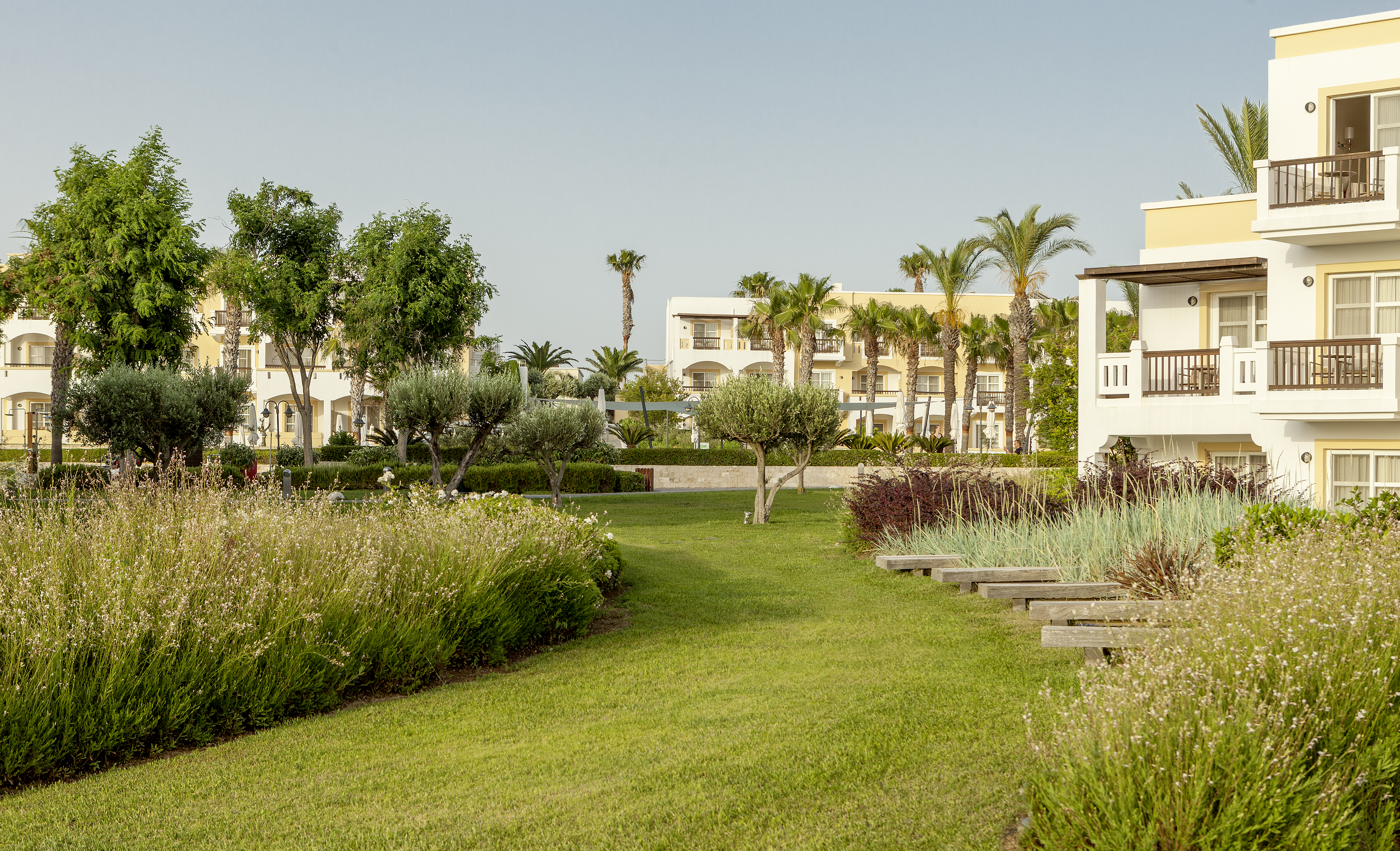 Neptune Hotels - Resort, Convention Centre & Spa - photo