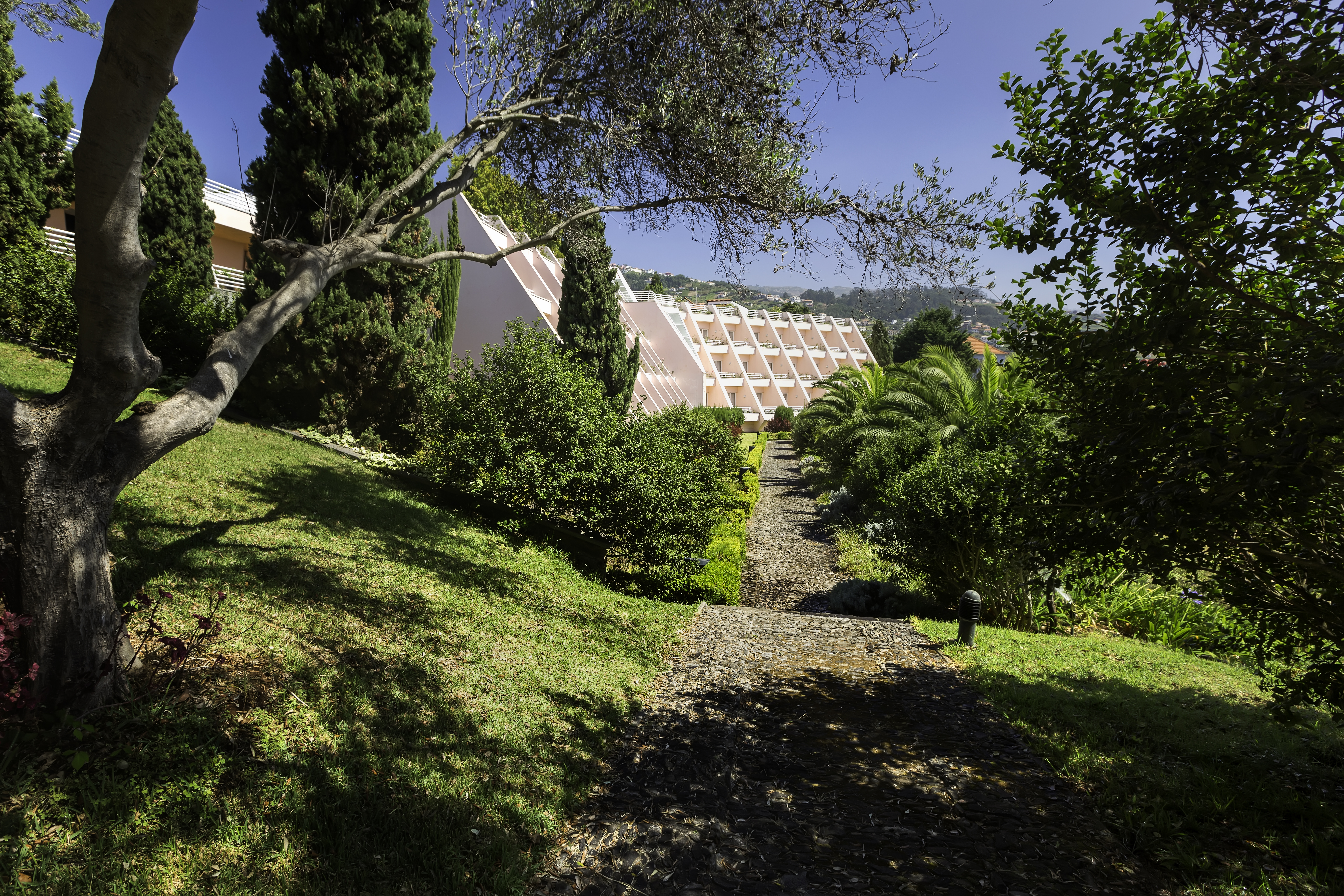 Quinta do Estreito Vintage House - photo