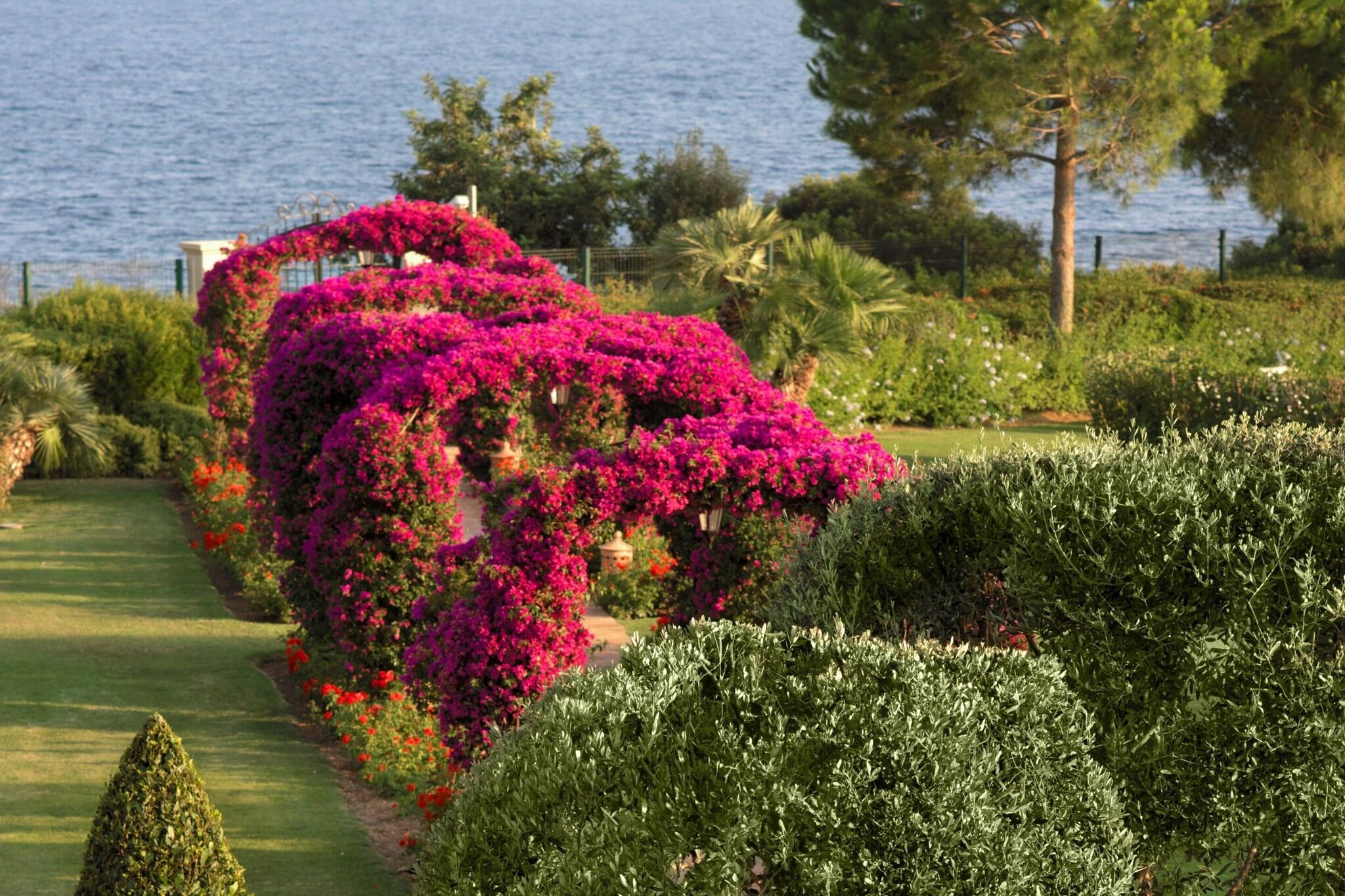 St Regis Mardavall Mallorca Resort by null