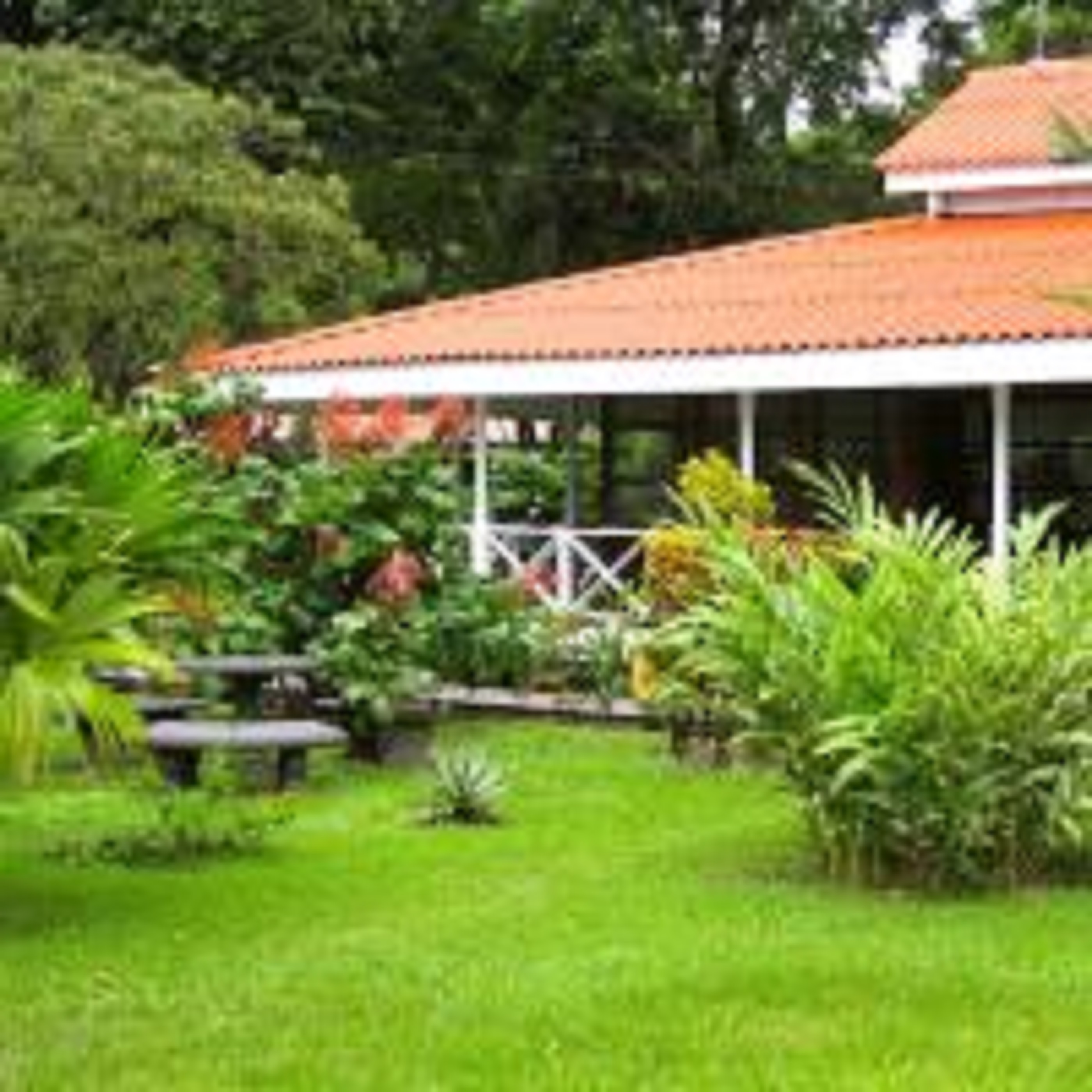 Cerrado by null
