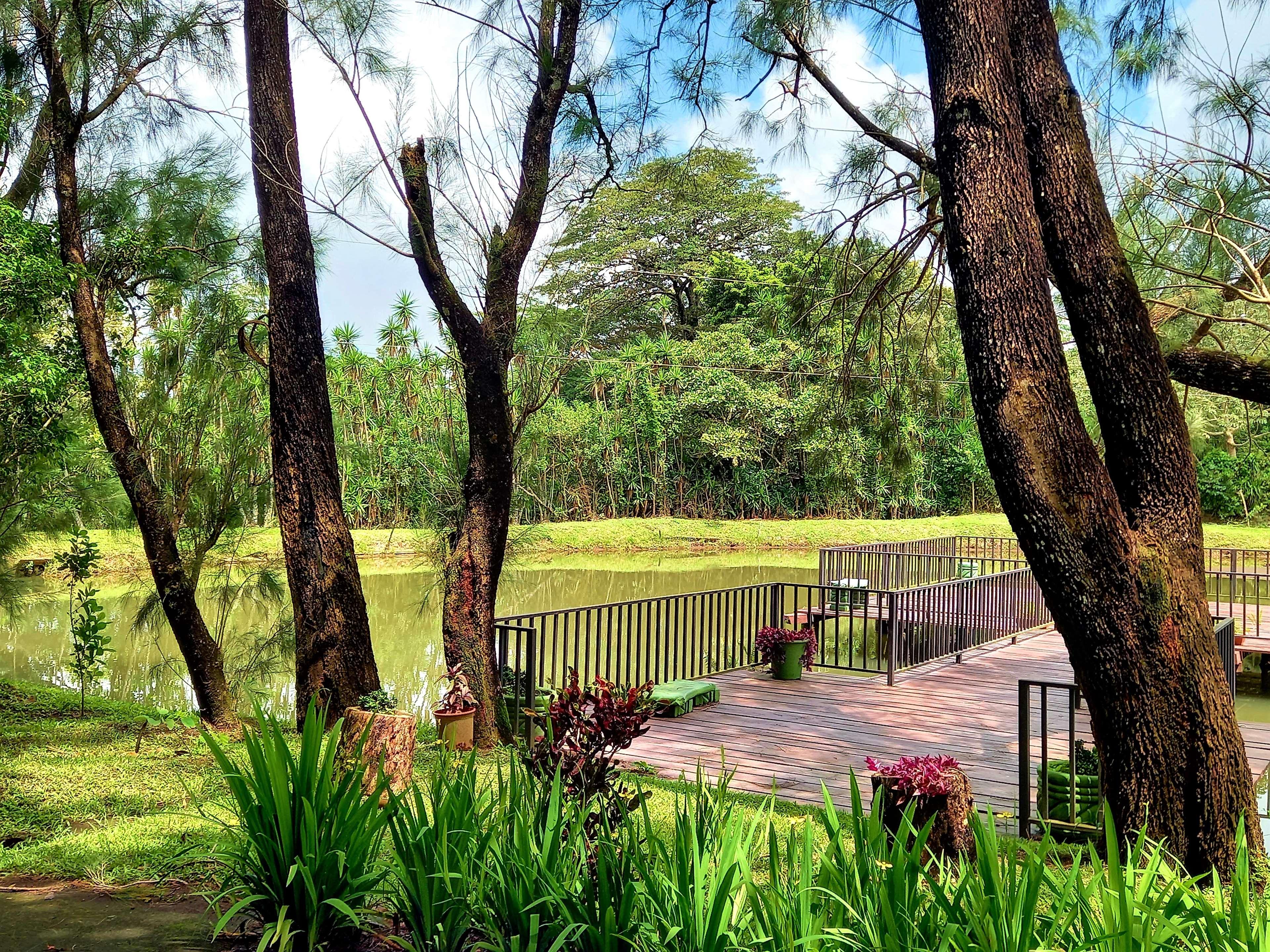 Buena Vista Del Rincon Eco Adventure Park, Hotel & Spa by null