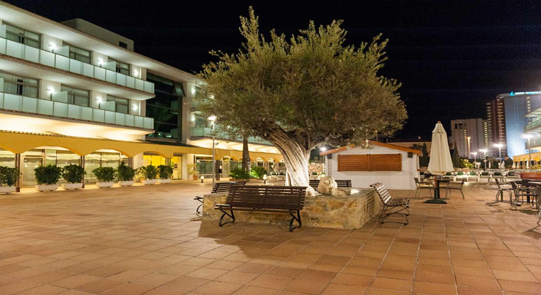 Hotel Mediterraneo by null