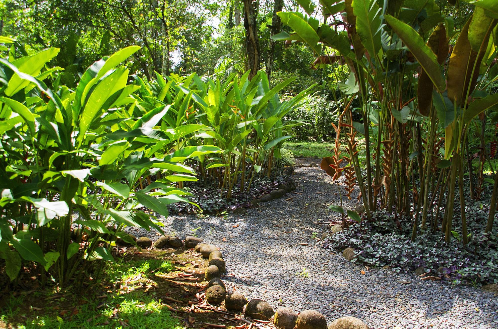 Selva Verde Lodge & Rainforest Reserve