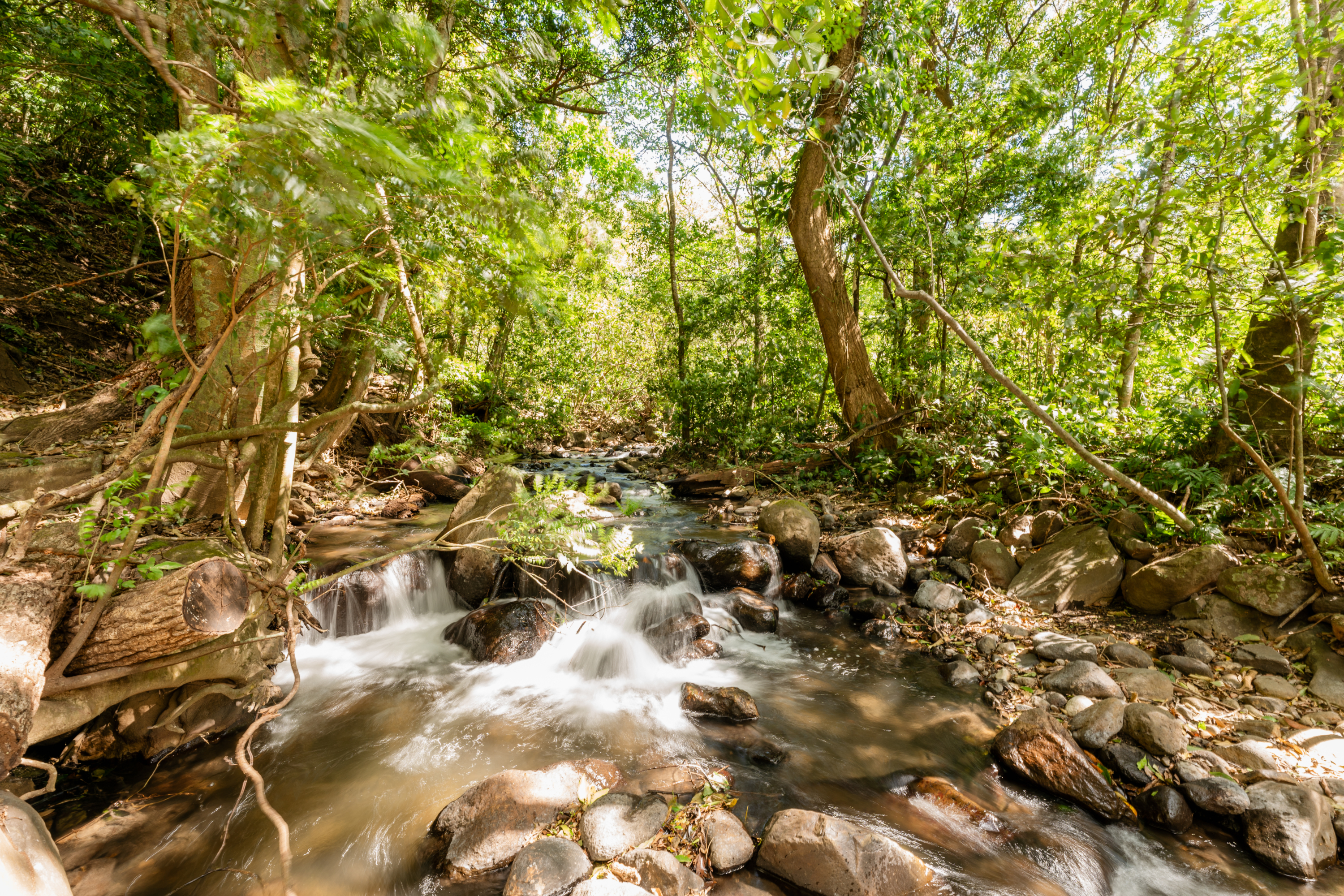 Borinquen Thermal Resort - Rincón de la Vieja by null