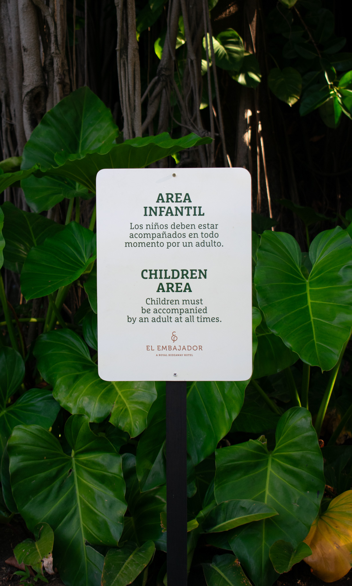 El Embajador, a Royal Hideaway Hotel by null